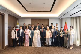 Culture fosters Vietnam-Republic of Korea ties