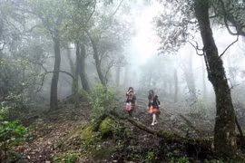 Lai Chau showcases potential for adventure tourism