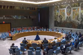 Vietnam an active, responsible member of United Nations
