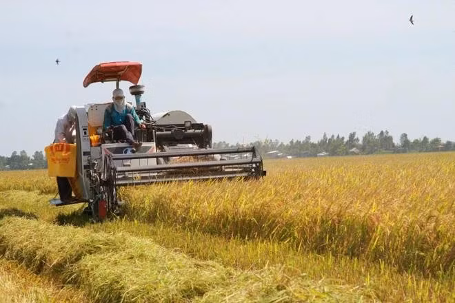 agricultural-production.jpg