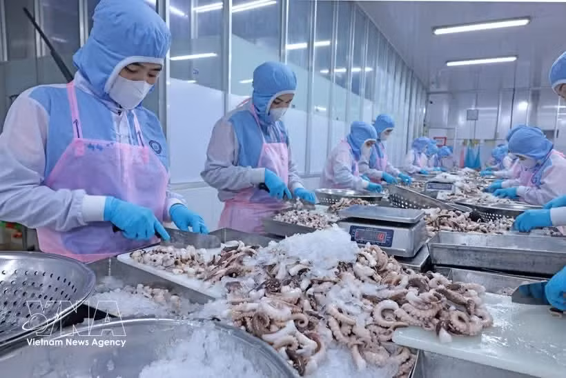 vietnamsfisheries-sector.jpg