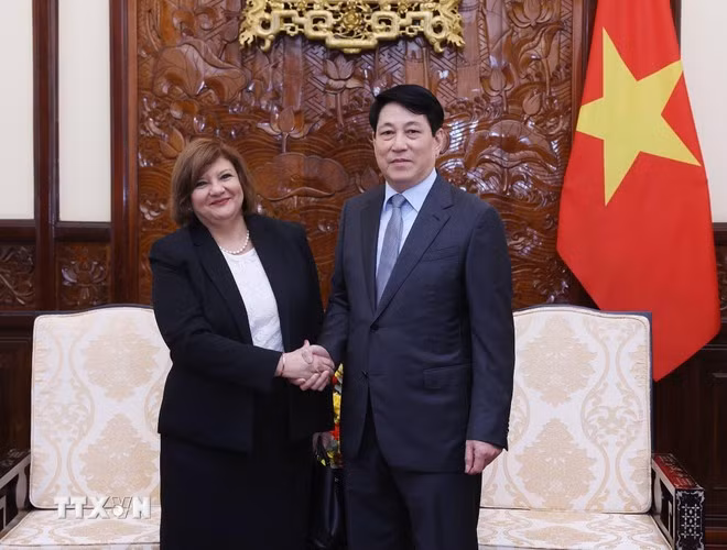 president-luong-cuong-receives-outgoing-egyptian-ambassador.jpg