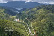 Da Nang eyes new growth from mountain and forest resources