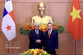 General Secretary of the Communist Party of Vietnam Central Committee and President To Lam (R) and President of Panama José Raúl Mulino pose for a photo. (Photo: VNA) 