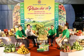 Delegates share information during the livestream programme. (Photo: VNA)