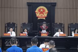 Judge Luu Ngoc Canh announces the decision to bring the case to trial. (Photo: VNA)