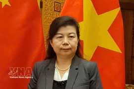 Liu Ying, a research fellow at the Chongyang Institute for Financial Studies, Renmin University of China. (Photo: VNA)