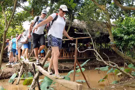 Foreign tourists enjoy crossing a handmade bridge in the Mekong Delta. (Photo: VNA) 
