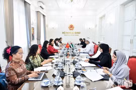 At the third political consultation between the Ministries of Foreign Affairs of Vietnam and the UAE. (Photo: qdnd.vn)