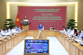 Deputy Prime Minister Pham Thi Thanh Tra chairs the hybrid mid-year review conference of the National Steering Committee for the Search for, Recovery and Identification of Martyrs’ Remains on June 25. (Photo: VNA)