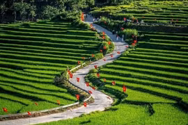 Pu Luong community-based ecotourism site in Thanh Hoa province attracts visitors during National Day holiday. (Photo published by VNA) 