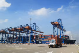 Cargo containers are handled at Gemalink International Port, Ho Chi Minh City. (Illustrative photo: VNA)