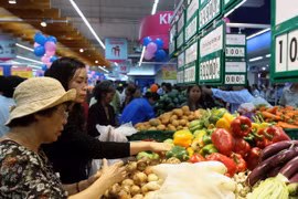 Vietnam is among the leading countries in terms of domestic growth, according to HSBC. (Photo: VietnamPlus) 