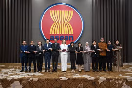 Delegates attend the 5th meeting of the ASEAN–UK Joint Cooperation Committee. (Photo: VNA)