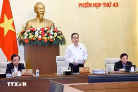 NA Chairman Tran Thanh Man speaks at the National Assembly Standing Committee's 43rd session. (Photo: VNA)