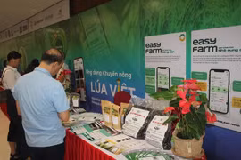 Delegates explore agricultural extension applications and low-emission rice production solutions at the seminar. (Photo courtesy of the Hai Phong Department of Agriculture and Environment)