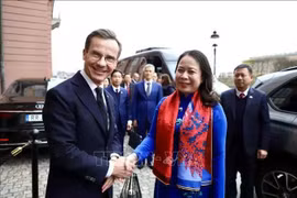 State Vice President Vo Thi Anh Xuan (R) welcomed by Swedish Prime Minister Ulf Kristersson on November 11, as part of her official visit to the Nordic country - Illustrative image (Photo: VNA)