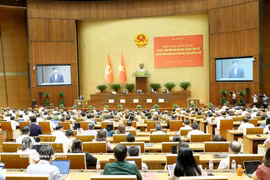 The conference reviews the one-year implementation of the overall organisational model of the political system and the three-tier administration model. (Photo: VNA)