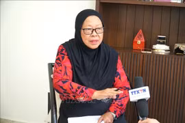 Professor Ruhanas Harun from the Department of International Relations under the National Defence University of Malaysia (Photo: VNA)