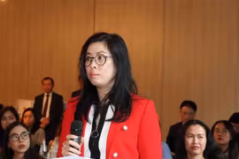 Nguyen Doan Hoai Thu currently working at the Luxembourg Chamber of Commerce (Photo: VNA)