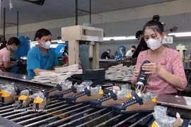 Ha Tay Shoes has secured numerous export orders from the US and European markets. (Photo: VNA)