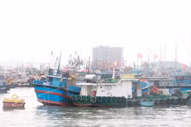 Fishing boats anchored at Hon Ro fishing port in Khanh Hoa province. (Photo: VNA)