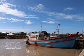 Fishing vessels anchored at Dinh An Fishing Port in Dai An commune, Vinh Long province. (Photo: VNA)