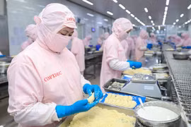 Cofidec has met stringent international standards, helping raise the value of Vietnam’s agricultural and aquatic products in global markets. (Illustrative photo: VNA) 