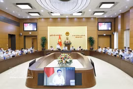 NA Vice President Nguyen Hong Dien speaks at the sixth session of the NA Standing Committee. (Photo: VNA)