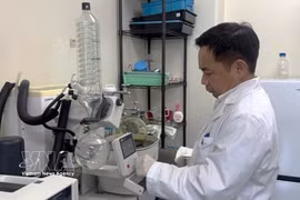 Professor Tran Dang Xuan works in his research laboratory. (Photo: VNA)