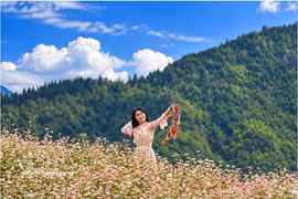 A visitor poses for a photo with buckwheat flowers. (Photo: VNA)