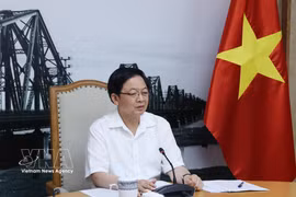 Deputy Prime Minister Ho Quoc Dung speaks at the meeting on June 17 (Photo: VNA)