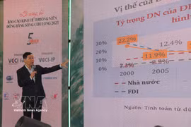 Dr Vu Thanh Tu Anh, head of the research team, provides information on the Mekong Delta Economic Report 2025. (Photo: VNA) 