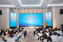 Participants attend the annual conference of hospital directors in Hai Duong province. (Photo: VNA).