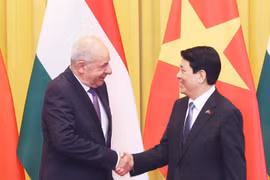 State President Luong Cuong (R) welcomes Hungarian President Sulyok Tamas in Hanoi on May 28. (Photo: VNA)