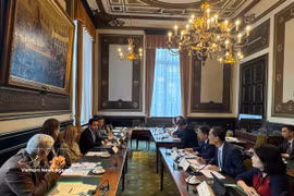 An overview of the meeting between representatives from the National Assembly’s Committee on Cultural and Social Affairs and the Belgian Chamber of Representatives’ Committee on Justice. (Photo: VNA)