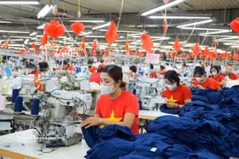 In the first eight months of 2026, Vietnam-Belgium trade increases 4.7% year-on-year to 3.1 billion USD. (Illustrative photo: VNA)