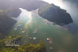 With its crystal-clear waters and majestic scenery, Hoa Binh lake, located within the reservoir area of the Hoa Binh Hydropower Plant, has become an unmissable destination for visitors to Phu Tho province. (Photo: VNA)