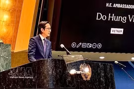 Gender equality promotion - A shared responsibility of society: Ambassador