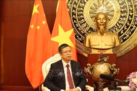 Vietnamese Ambassador to China Pham Thanh Binh (Photo: VNA)