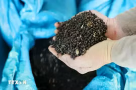 Vietnam exports 20,244 tonnes of various types of pepper in March (Photo: VNA)