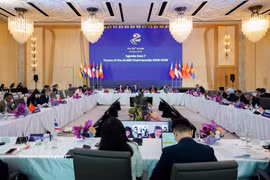 An overview of the 29th ASEAN Labour Ministers Meeting (Photo: VNA)