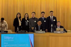The Vietnamese delegation attends the African Regional Preparatory Meeting for the 15th UN Congress on Crime Prevention and Criminal Justice. (Photo: VNA)