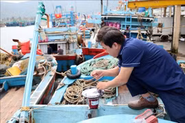 Many vessels have installed additional vessel monitoring systems to ensure uninterrupted information connectivity with shore-based stations during fishing trips. (Photo: VNA) 