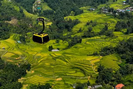 The Fansipan cable car cabin glides across Muong Hoa Valley, opening up panoramic views of its lush terraced rice fields. (Photo: Sun Group)