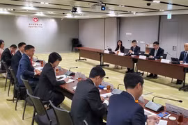 Ho Chi Minh City seeks to strengthen substantive cooperation with Hong Kong (China)