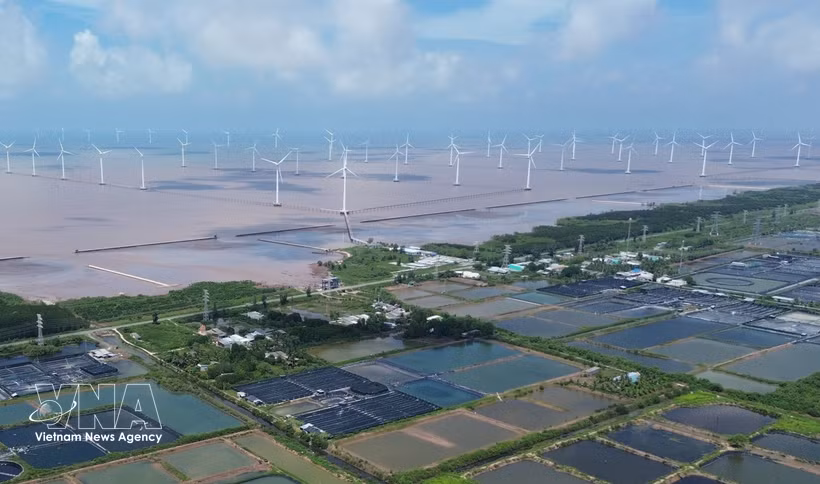Wind turbines in Dong Hai commune, Ca Mau province (Photo: VNA)