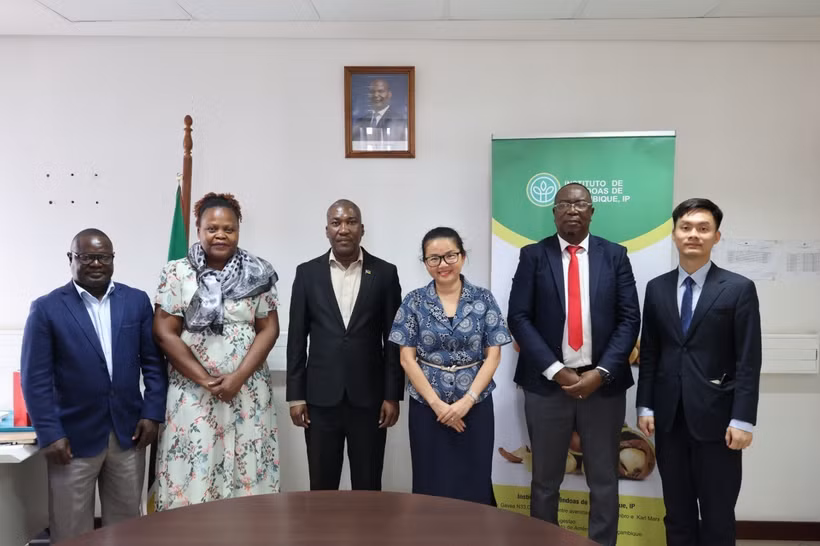 Vietnamese Ambassador to Mozambique Tran Thi Thu Thin (third from right) poses with IAM Director and staff (Photo published by VNA)