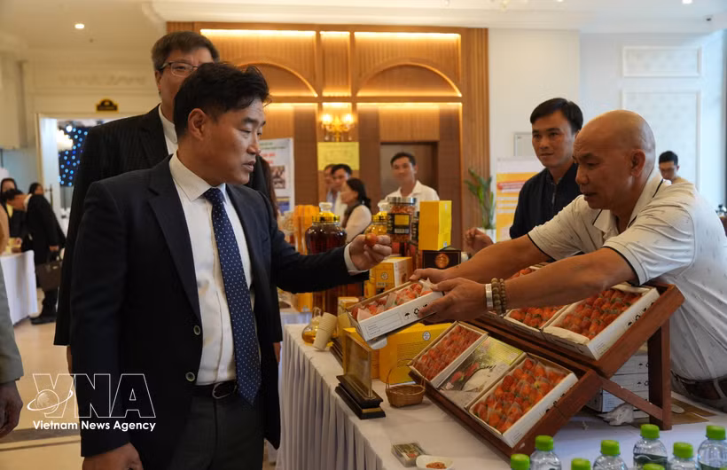 Members of the RoK delegation visit booths showcasing signature agricultural products of Da Lat – Lam Dong. (Photo: VNA)