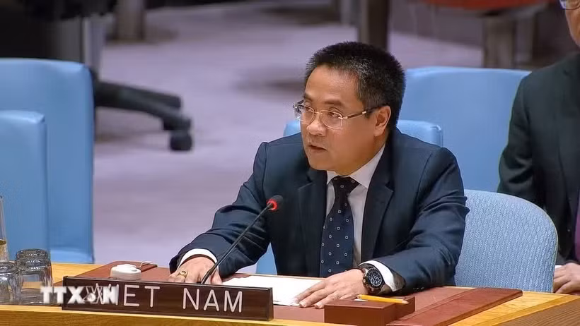 Minister-Counsellor Nguyen Hai Luu, Deputy Permanent Representative of Vietnam to the UN (File photo. Source: VNA)